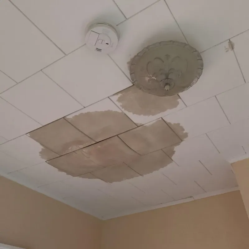 Ceiling Water Damage Repair in Shortsville, NY